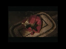 https://image.noelshack.com/fichiers/2012/22/1338491931-film02.png