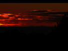https://image.noelshack.com/fichiers/2012/22/1338665089-_DSC0052.jpg