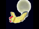 https://image.noelshack.com/fichiers/2012/23/1338916660-Untitled_image.png
