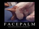 https://image.noelshack.com/fichiers/2012/23/1338983520-Facepalm.png