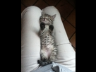 https://image.noelshack.com/fichiers/2012/24/1339442127-iPhone-image-06-11-2012..jpg