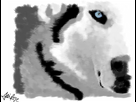 https://image.noelshack.com/fichiers/2012/24/1339577675-Duff-Snow.png