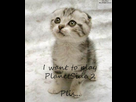 https://image.noelshack.com/fichiers/2012/24/1339700929-graphics-cute-671650.jpg