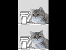 https://image.noelshack.com/fichiers/2012/24/1339702751-cat-computer.jpg