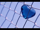https://image.noelshack.com/fichiers/2012/24/1339953462-coeur-emprisonner-1390598e55.jpg