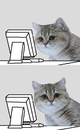 https://image.noelshack.com/fichiers/2012/25/1340018898-catface.jpg