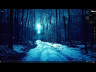 https://image.noelshack.com/fichiers/2012/25/1340034711-Natureneigenoir.png