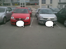 https://image.noelshack.com/fichiers/2012/25/1340034783-Lupo.jpg