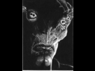 https://image.noelshack.com/fichiers/2012/25/1340060064-af9ab5db84928033244c880538b90fe7-d4xrt7s.png