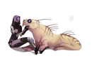 https://image.noelshack.com/fichiers/2012/25/1340061731-tali__zorah_and_varren_by_lingrimm-d4tcwzy.jpg