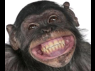 https://image.noelshack.com/fichiers/2012/25/1340108717-=D.png