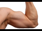 https://image.noelshack.com/fichiers/2012/25/1340273815-biceps-muscl-e1304005900625.jpg