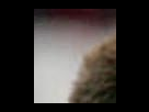https://image.noelshack.com/fichiers/2012/25/1340278589-Ribery2_swap_part1x1.jpg