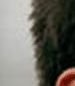 https://image.noelshack.com/fichiers/2012/25/1340278596-Ribery2_swap_part2x1.jpg
