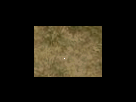 https://image.noelshack.com/fichiers/2012/25/1340278630-49c91c3da67ba1a850de3619e10b0663.png