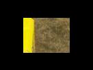 https://image.noelshack.com/fichiers/2012/25/1340278630-4d6d021eaacb1fcf12c898438a8f125a.png