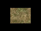 https://image.noelshack.com/fichiers/2012/25/1340278630-f6196e0016ca0ac1f56577a638438a69.png