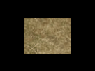 https://image.noelshack.com/fichiers/2012/25/1340278631-16ecef282dc5b72bc3babc6c9b8fc280.png