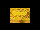 https://image.noelshack.com/fichiers/2012/25/1340278631-42f6fe53c420a972c6bd759efb2502c2.png