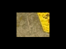 https://image.noelshack.com/fichiers/2012/25/1340278631-9dfeb46e83993c72b588c207a89cf36d.png