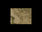 https://image.noelshack.com/fichiers/2012/25/1340278631-bcb150abbb6d7ae707fdb48c065b11d7.png