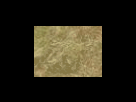 https://image.noelshack.com/fichiers/2012/25/1340278632-7f32a65bd9e98f035810871b4d1f59f2.png