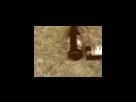 https://image.noelshack.com/fichiers/2012/25/1340278632-8a82b3c87228e8bd159467670b546fd4.png