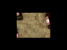 https://image.noelshack.com/fichiers/2012/25/1340278633-613a52e388d5a17d7845ed3148ad8d2e.png