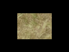 https://image.noelshack.com/fichiers/2012/25/1340278633-9a081733e2632c94eb7a6cfaae3ce56b.png