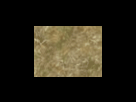https://image.noelshack.com/fichiers/2012/25/1340278633-fed68dcd0112fb01e1ba8206323d489f.png