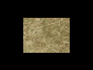 https://image.noelshack.com/fichiers/2012/25/1340278634-5851239c79e53d6e31c6cdf9b204ae91.png