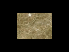 https://image.noelshack.com/fichiers/2012/25/1340278634-e4d2b6b8b22fca2bbe906ff5f512eef2.png