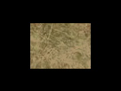 https://image.noelshack.com/fichiers/2012/25/1340278635-42173c3ce2600578bb8fe40646a56e12.png