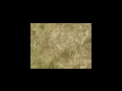 https://image.noelshack.com/fichiers/2012/25/1340278635-573d130313e4c141fff07256f2aeed78.png