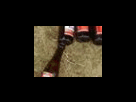https://image.noelshack.com/fichiers/2012/25/1340278635-5a221c4a2d261c031ff3a4ed71ff5e86.png