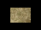 https://image.noelshack.com/fichiers/2012/25/1340278635-87bd43d8a1cea905dbf44c9ab2a9af7f.png