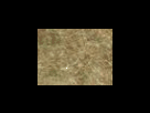 https://image.noelshack.com/fichiers/2012/25/1340278635-cc00028283e930519cb6c1b5d2e05ea0.png