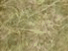 https://image.noelshack.com/fichiers/2012/25/1340278635-f00660fb5a02be38e7c33a10c0b3afcc.png