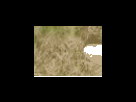 https://image.noelshack.com/fichiers/2012/25/1340278636-261f8acfe1b0e88f1e399f059af2f161.png
