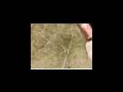 https://image.noelshack.com/fichiers/2012/25/1340278636-26ef9108870f22688167f30238d2ec56.png