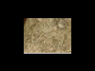 https://image.noelshack.com/fichiers/2012/25/1340278636-3807b0ce15e879b39ae7d1e84ea57679.png