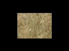 https://image.noelshack.com/fichiers/2012/25/1340278636-ba25806df64df09ffcfd71cf0f7b5294.png