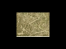 https://image.noelshack.com/fichiers/2012/25/1340278636-e6fe4282eb61870583d1eefd0f8c65d4.png