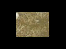https://image.noelshack.com/fichiers/2012/25/1340278637-bb1842b0dd932e41244feea248279103.png