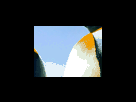 https://image.noelshack.com/fichiers/2012/25/1340278747-98da0507b58c9cdcf572d966f8c354f3.png