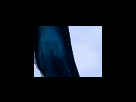 https://image.noelshack.com/fichiers/2012/25/1340278748-925dde8ef4a9fa94973e829bf8fb883a.png