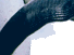 https://image.noelshack.com/fichiers/2012/25/1340278749-1dba841ed8bfa08621cc917ed2bb761f.png