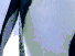 https://image.noelshack.com/fichiers/2012/25/1340278749-32f4e509888720a51381027b08f4fe45.png