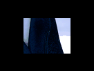 https://image.noelshack.com/fichiers/2012/25/1340278749-8e78f6039b008d144474603ff2357e5e.png