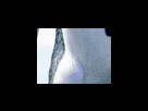 https://image.noelshack.com/fichiers/2012/25/1340278750-2767ea1b08fb2ea7c3388d17294a3bdc.png
